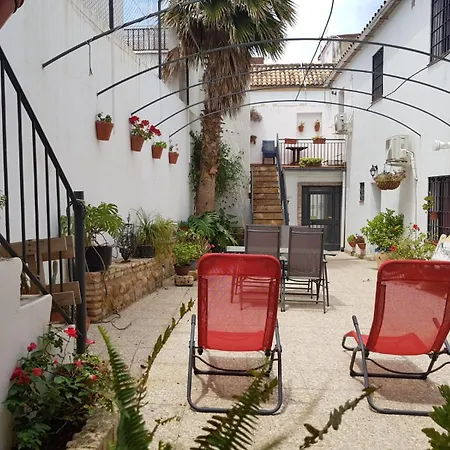 Palmera * Cordoba