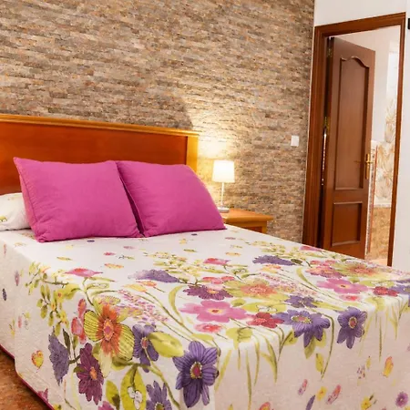 Palmera Apartamento Córdoba