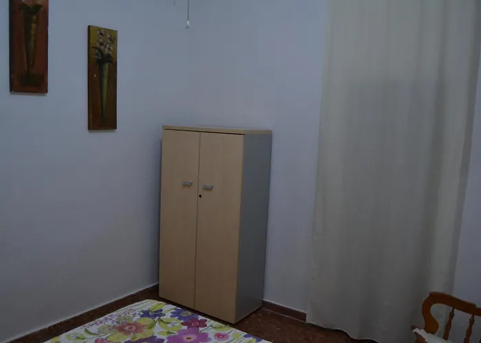 Palmera * קורדובה